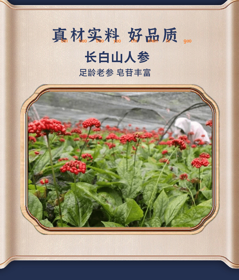 American Ginseng Slices 18g Boxed Panax quinquefolius Tea Slices from Jilin key features
