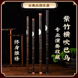 吹奏类乐器