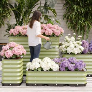 ���ٷNֲ����Ƅӑ��⻨�@���P��Fˇ�����̨�Gֲ�����X�Ͻ���