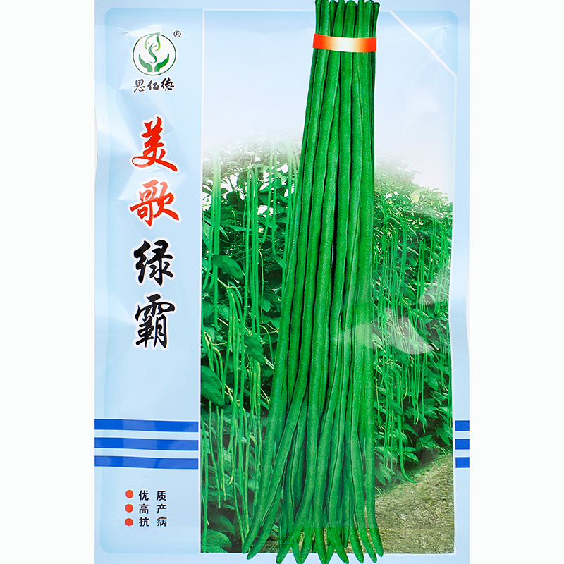 美国超级绿霸豇豆种子 抗病耐热耐湿 高产绿色长豆角种子批发