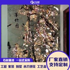 天然金孔雀開屏対紋豪華石大理石光透過受付台背景壁現代島台茶卓