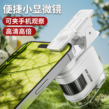 ��y��ͯ����ƌW�����@΢�R��߿ƽ����bС�W������������b