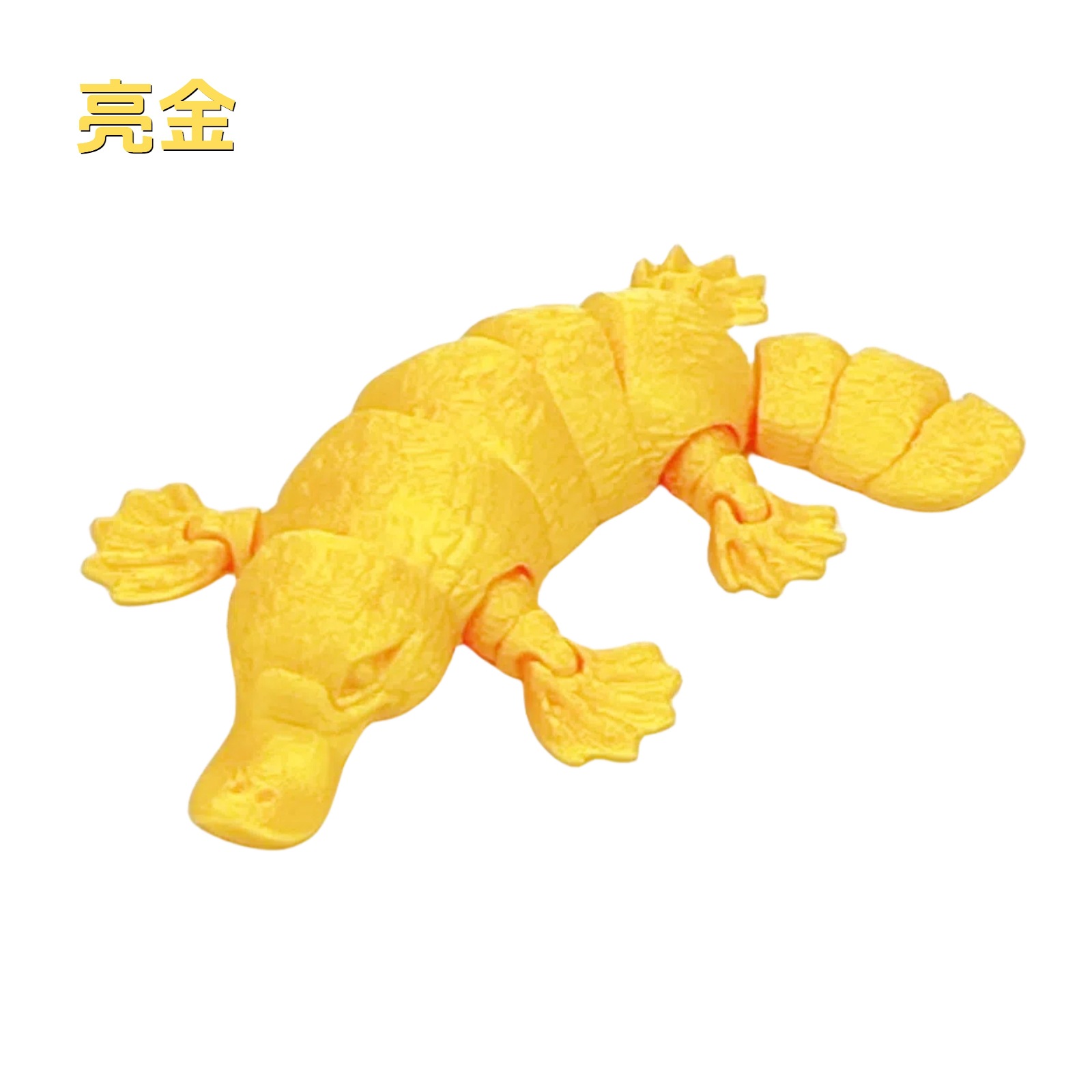 13CM-브라이트 골드