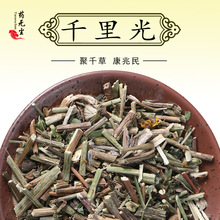 黄花母 黄花母品牌 图片 价格 黄花母批发 阿里巴巴