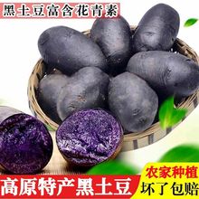 �ຣ�خa���r�������ڽ�����ɫ���R��������С��������������