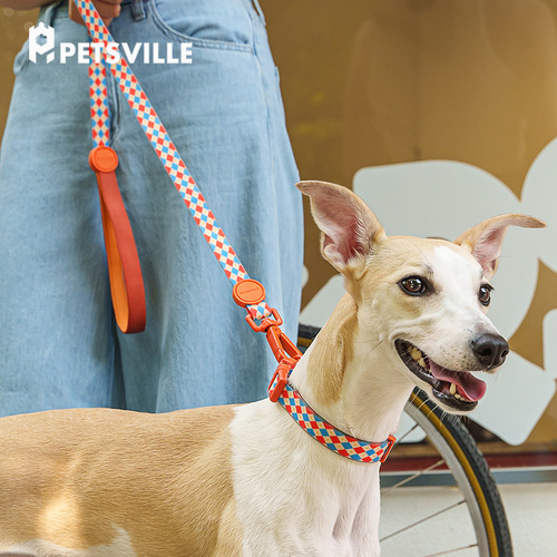 Paisiwei dog harness afternoon tea & retro record leash small and medium-sized dog collar vest style dog walking pet