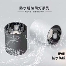 IP65��ˮ���bͲ�������̨����ԡ�ґ����ˮ���ʽ���b�����܇վ