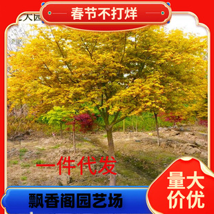 һ�����l���ڽ����֮���S�������G���辰�ձ��ļ��t�~�������u