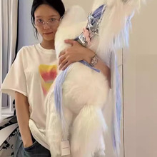 ~~~~~�n��С�� 24�¿� �T��ͬ�� �u׃����ӡ������T��