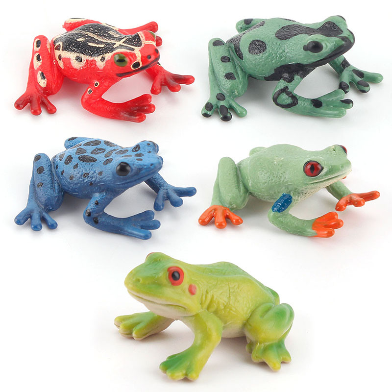 Educación temprana cognitiva para niños simulación anfibio creativo mini traje de rana rana americana rana toro juguete de decoración de rana arborícola
