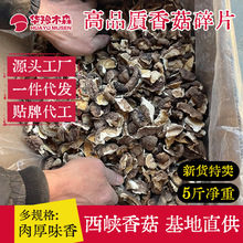 ���l���㹽��Ƭ��؛5��С��Ƭ����������ˮ��W�ϱ�Ƭ���u�u��