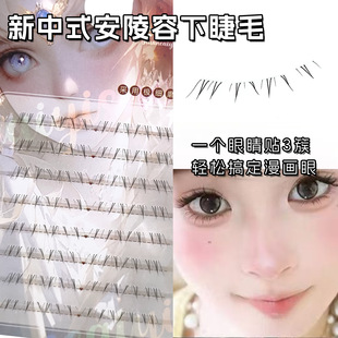 ����ʽ�������½�ë����������͸�����������ճ��ֶ�ʽ���֮���ë