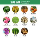 Шанхай Тонгруй Санлиен 75% Гибберовая кислота 920 Острый кристаллический порошок порошок сельскохозяйственного регулятора сельскохозяйственных растений.