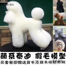 ���ﹷ��������Ӗ�Ϲ����ݎ������ٹ��ټټ�ë̩ģ��ģ��ϵ��̫��