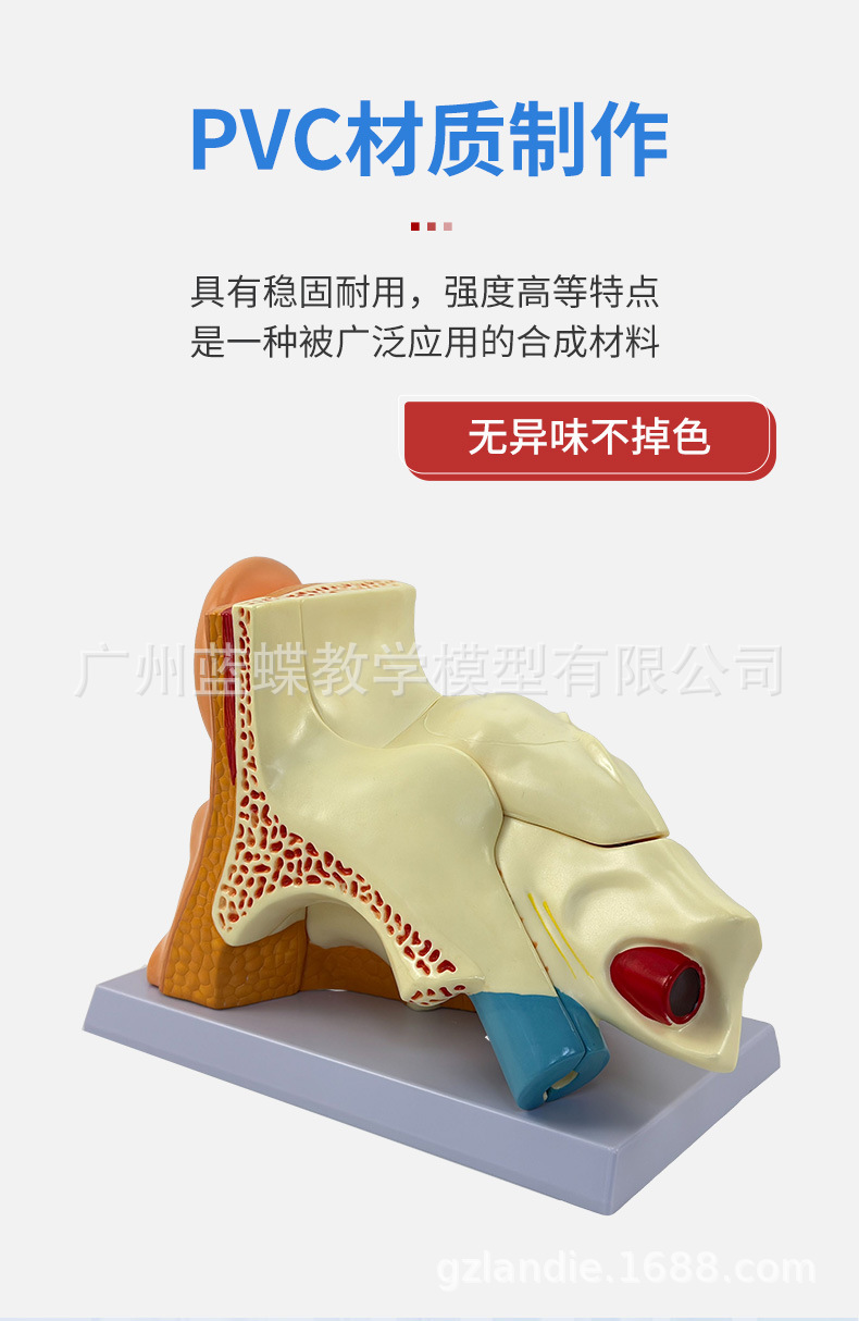 详情 (3)