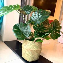 ���ͱ��Wֲ��������B�������˽��[���Gֲ�҃ȿ͏d���b�����