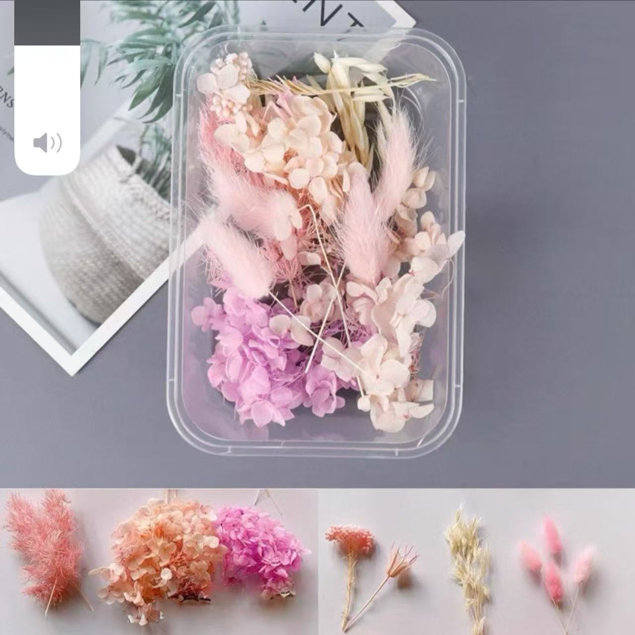 Paquete mixto de bricolaje, decoración hecha a mano, flor eterna, material de paquete de flores secas, marco de fotos de bricolaje, paquete de flores en relieve, día de la mujer