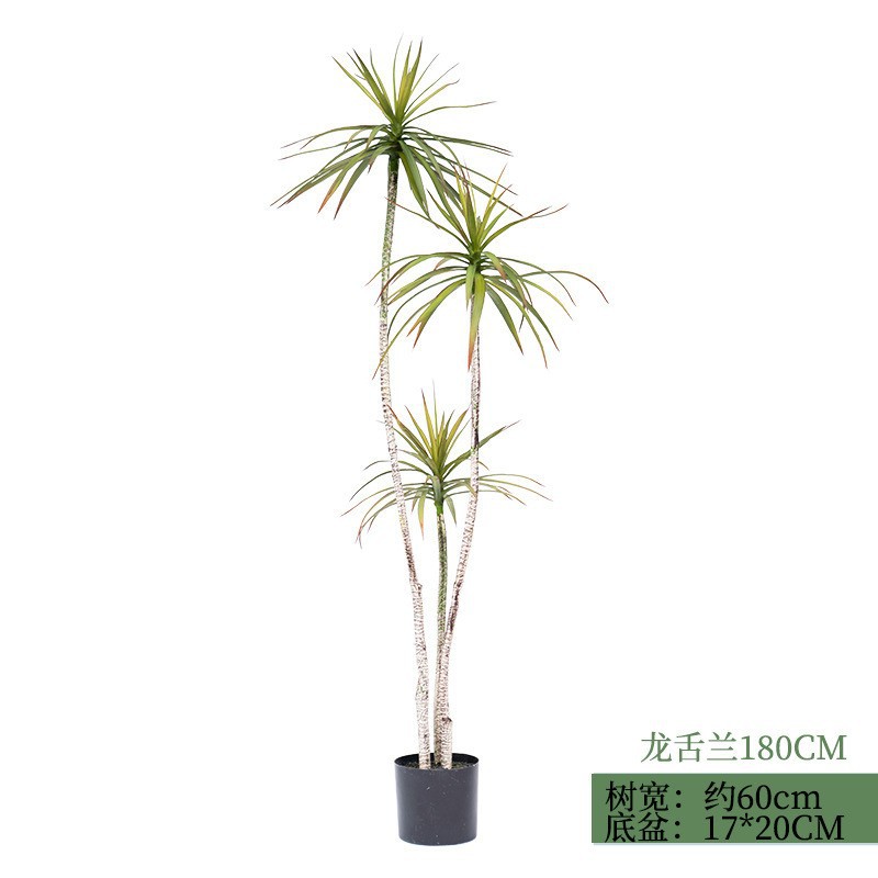 Sphylla-180cm de agave (con base negra)