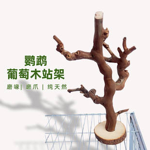 ����ľ�B��վ����،�ľ�W�^����վ���B�\�M�b������B�W�^�B����