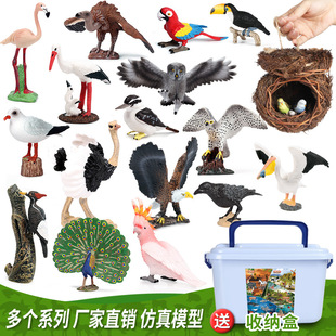 �羳��ͯ����������ģ���w���B���ľ�B�W�^؈�^���r�B�[�����b