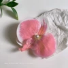 Light Pink Phalaenopsis Duck Clip (BA1223)