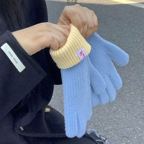 Knitted cashmere gloves for women, winter touch screen lined warm and thick cold-proof finger-separated Korean-style yarn gloves trendy