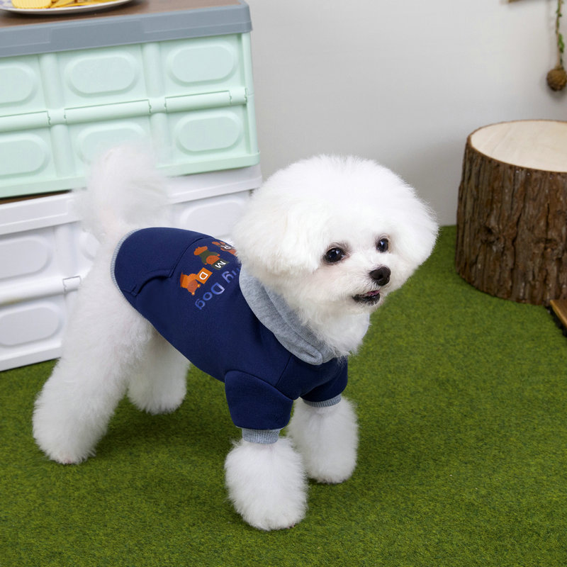 狗狗衣服秋冬装泰迪比熊小型犬猫咪两脚宠物衣服冬季25早上卫衣|undefined