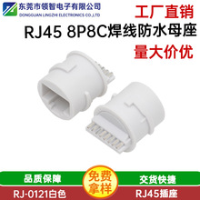 RJ45ˮĸ8P8CɫRJ45ʽz^Aηˮ8P8C