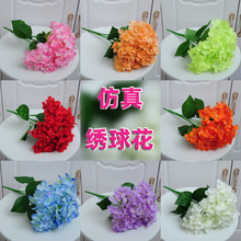 ���滨����ֲ��6�^���򻨽�����c���� �c�䲼�Õ����ٻ����滨