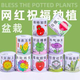 diy�Nֲ��ͯС���ԶY������Gֲ������^�����^ֲ����^�W�tֲ��