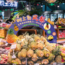 水果拱形展示牌陈列牌KT板水果店氛围装饰牌水果店装饰生鲜超市