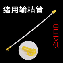 ĸiݔiëFһݔݔƿĸiNܾi