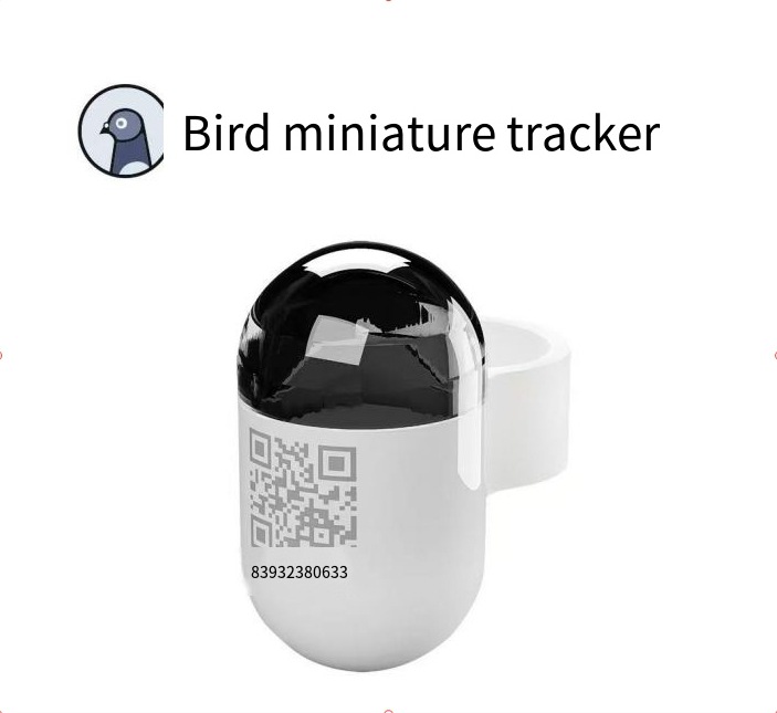 Explosiones transfronterizas rastreador de palomas miniatura 2.2g ultraligero G localizador Bluetooth localizador de aves localizador de palomas