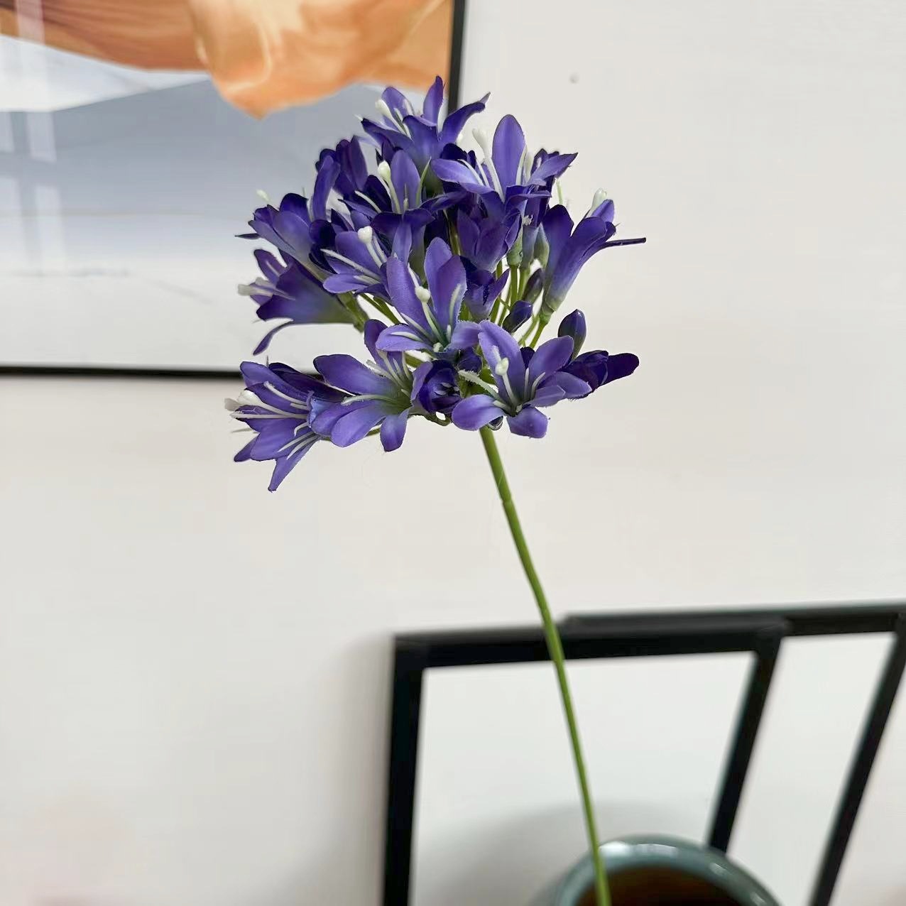 파란색 보라색