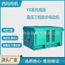 ����������YX500-12��710KW 10KV����Բ�����������첽�綯����