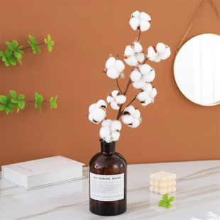 �羳����޻��ɻ� 10�^ľ�޻�֦���滨 ����ɻ��޻��Ҿӿ͏d�b�
