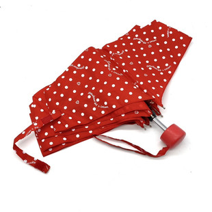 19ǼtɫϵcLϵСքpyۯB㶨