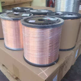 镀锡铜线 漆包线镀锡铜线电机铜线 异形铜线t2紫铜扁丝镀锡镀镍