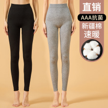 秋冬新款中腰保暖秋裤薄款透气高弹棉裤无痕内穿纯色打底裤女批发