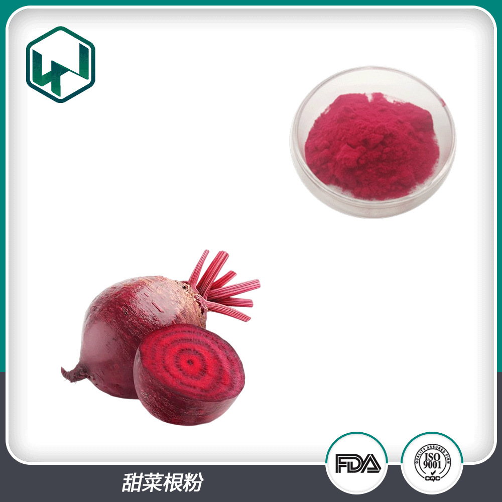 甜菜根粉 99%含量水溶速溶植物提取食品果蔬粉 厂家现货量大从优