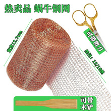 �羳���u���x�~�W �p�Ӿ����^�V�W늴���̖�������~�W���s�W����