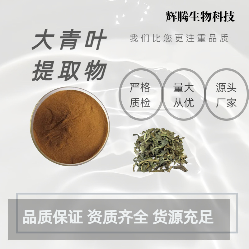 大青叶提取物 10:1 水溶性大青叶粉 比例提取物  直销  现货供应