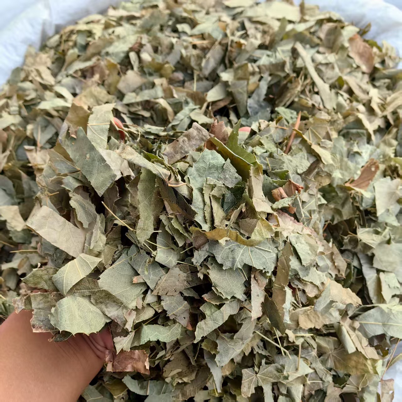 Epimedium Yin Yang Huo Dried Herb Sichuan Origin Traditional TCM Herbal Tea Ingredient 500g 1000g key features
