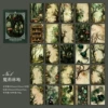 4. Pineral Forest Land