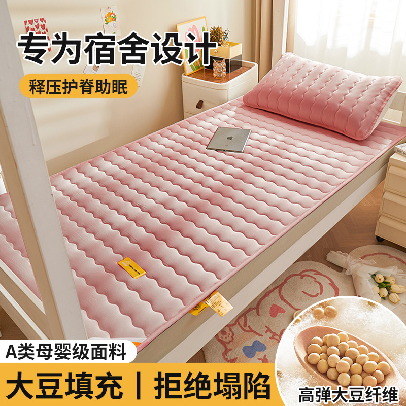 Colchón de soja, cojín, dormitorio de estudiantes en casa, cojín individual, cojín, piso especial para alquiler, cojín para dormir, fondo de cama