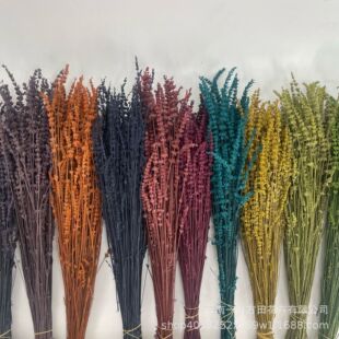 ����޹�²ݸɻ������[�Odiy�����L�ɻ����滨��ϏS�ҼҾ��b�