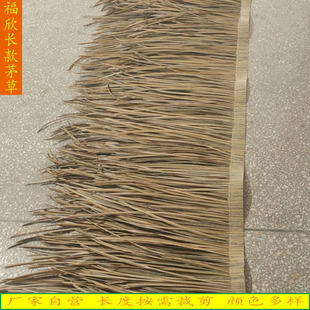 ���S���l�V�|�¹����Ϸ���PEé���߷µ��ݷ�������é�ݼ�é�����l