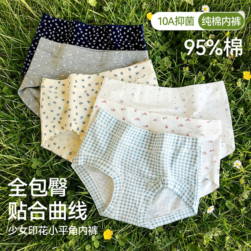 Women's Pure Cotton Panties 10A Antibacterial Extended Crotch Forest Style Small Floral Mid-Waist Plus Size Boxer Pure Cotton Panties for Women Women's Pure Cotton Panties 10A Antibacterial Extended Crotch Forest Style Small Floral Mid-Waist Plus Size Boxer Pure Cotton Panties for Women