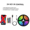 5V-24 key infrared drip gum (30 lights/m)