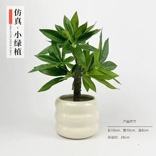 ����ֲ�ﱱ�W�b�С���Կ͏d�k��������Gֲ�辰�[�������滨